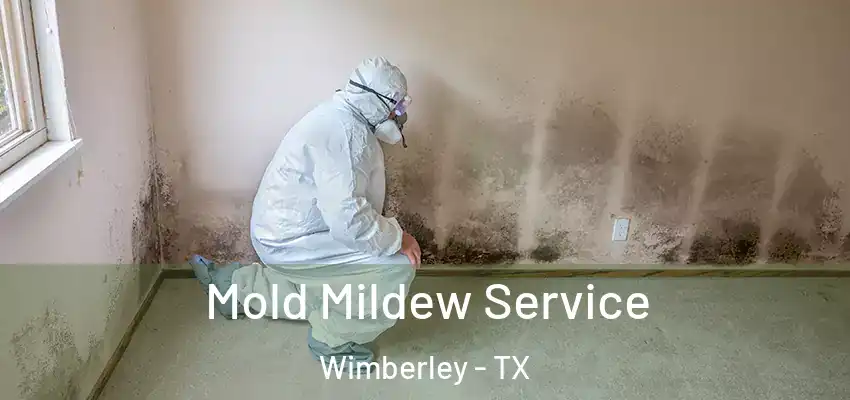  Mold Mildew Service Wimberley - TX