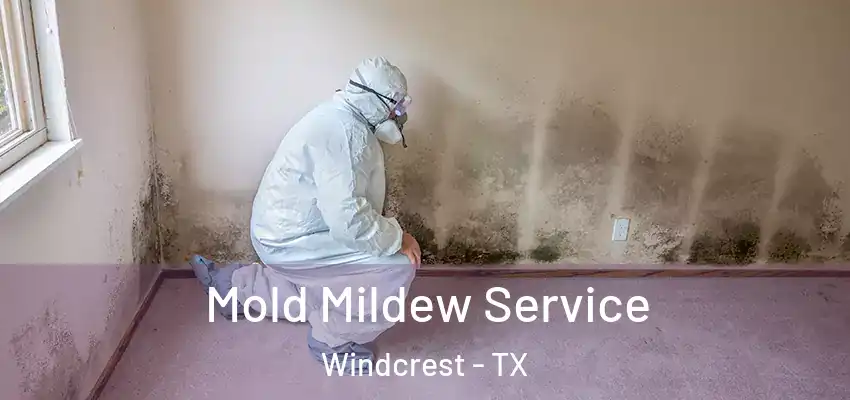  Mold Mildew Service Windcrest - TX