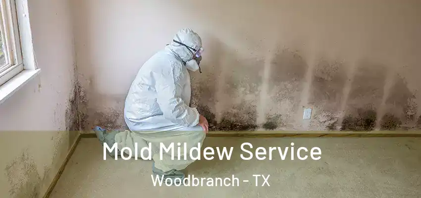  Mold Mildew Service Woodbranch - TX