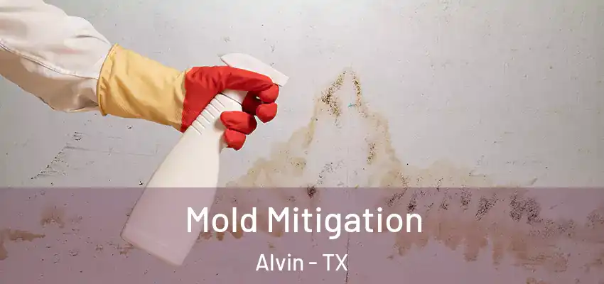  Mold Mitigation Alvin - TX