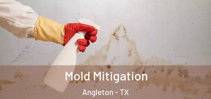  Mold Mitigation Angleton - TX