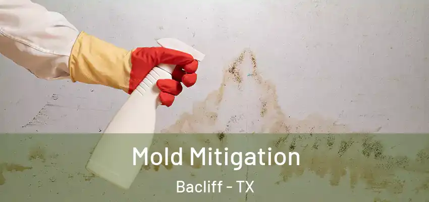 Mold Mitigation Bacliff - TX