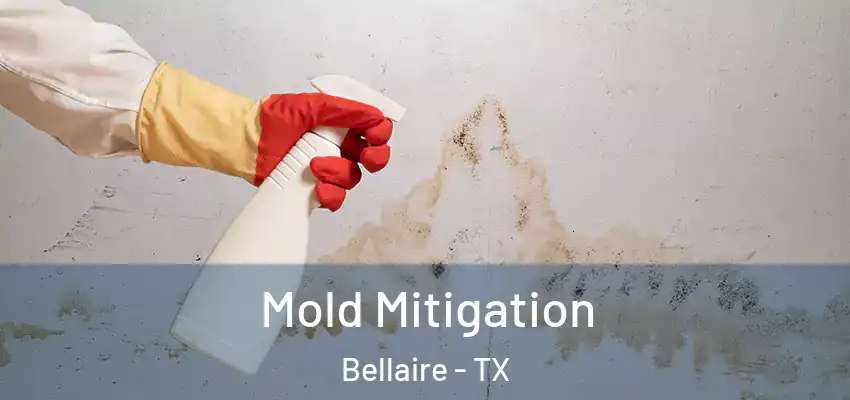 Mold Mitigation Bellaire - TX