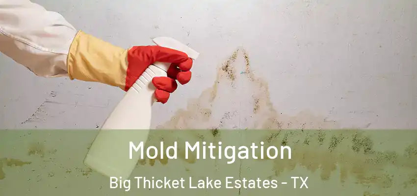  Mold Mitigation Big Thicket Lake Estates - TX