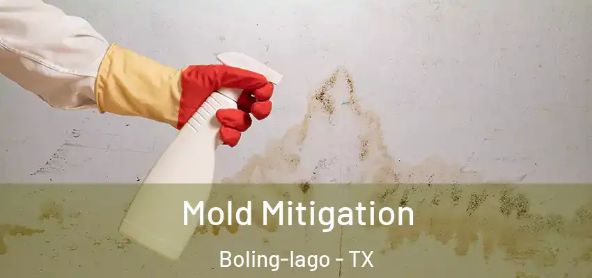 Mold Mitigation Boling-Iago - TX