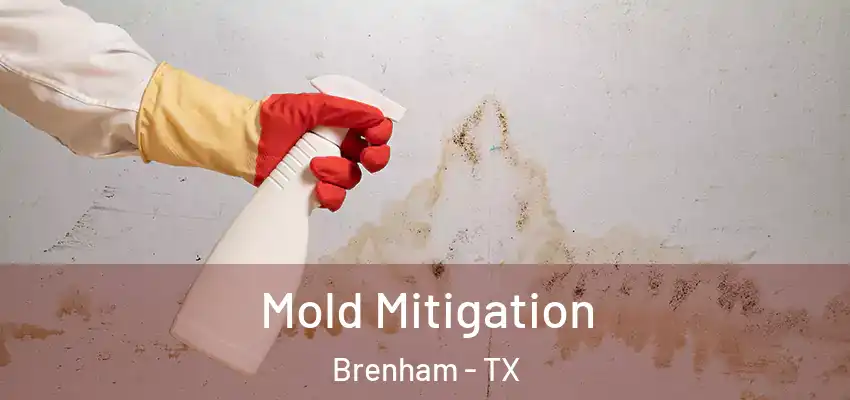 Mold Mitigation Brenham - TX