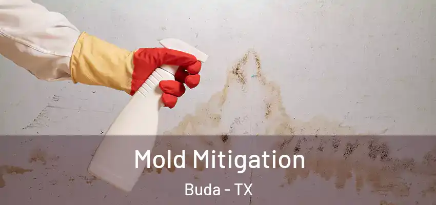  Mold Mitigation Buda - TX