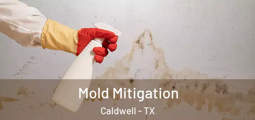  Mold Mitigation Caldwell - TX
