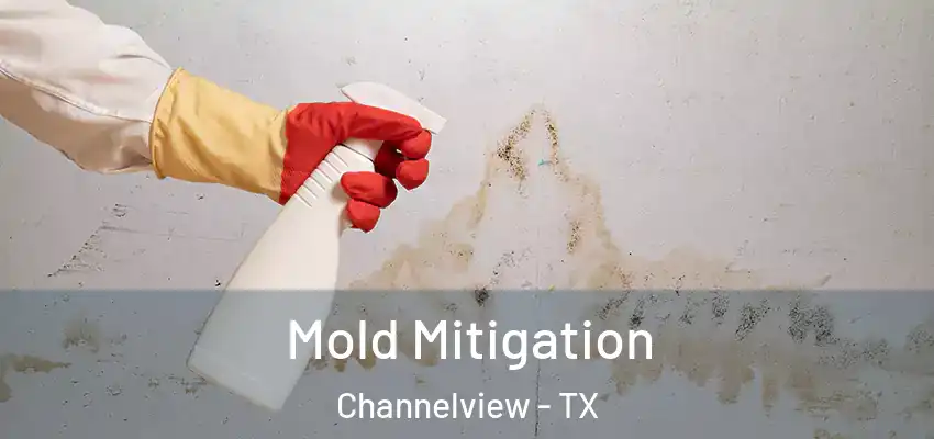 Mold Mitigation Channelview - TX