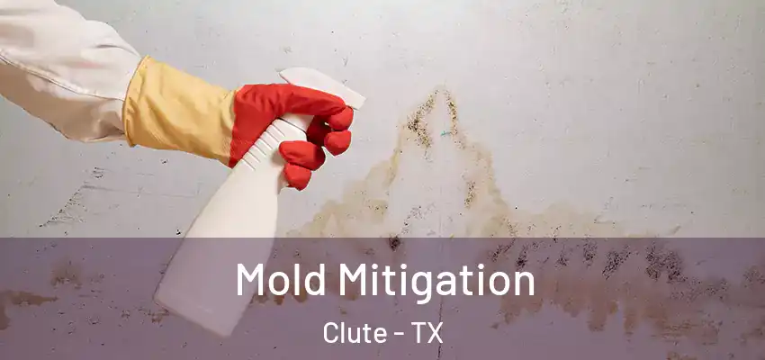  Mold Mitigation Clute - TX