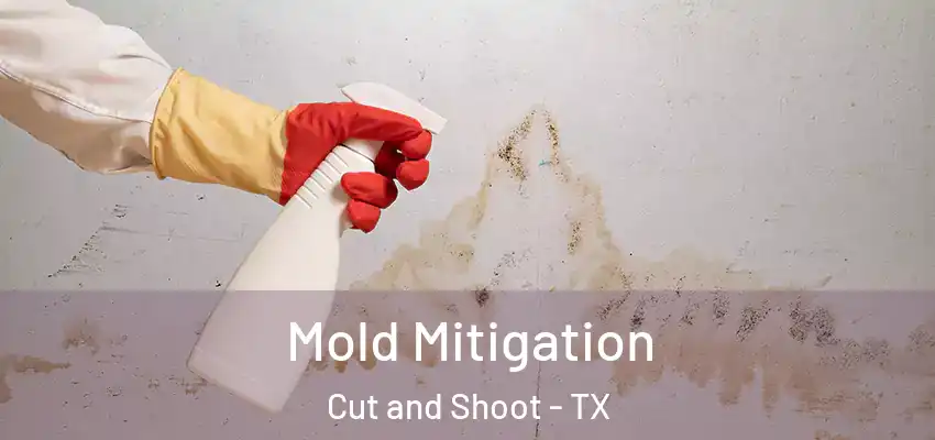  Mold Mitigation Cut and Shoot - TX
