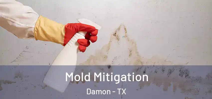 Mold Mitigation Damon - TX