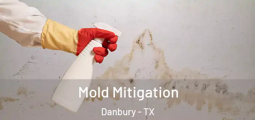  Mold Mitigation Danbury - TX