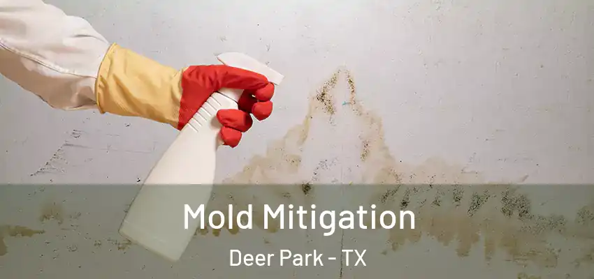 Mold Mitigation Deer Park - TX