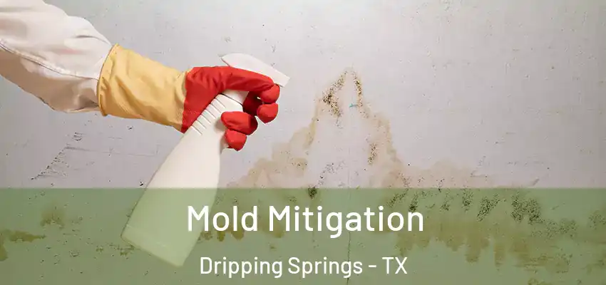  Mold Mitigation Dripping Springs - TX