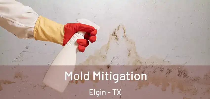  Mold Mitigation Elgin - TX