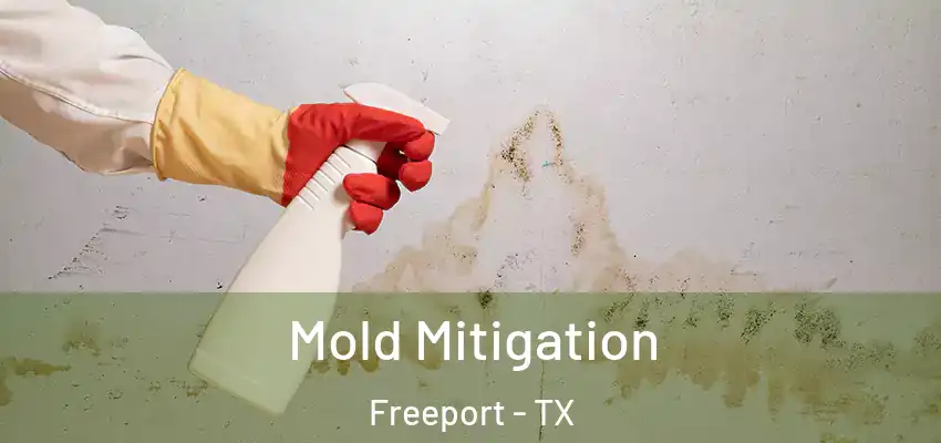  Mold Mitigation Freeport - TX