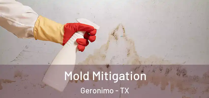 Mold Mitigation Geronimo - TX
