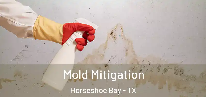  Mold Mitigation Horseshoe Bay - TX