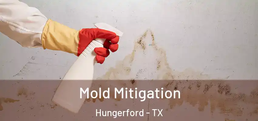  Mold Mitigation Hungerford - TX