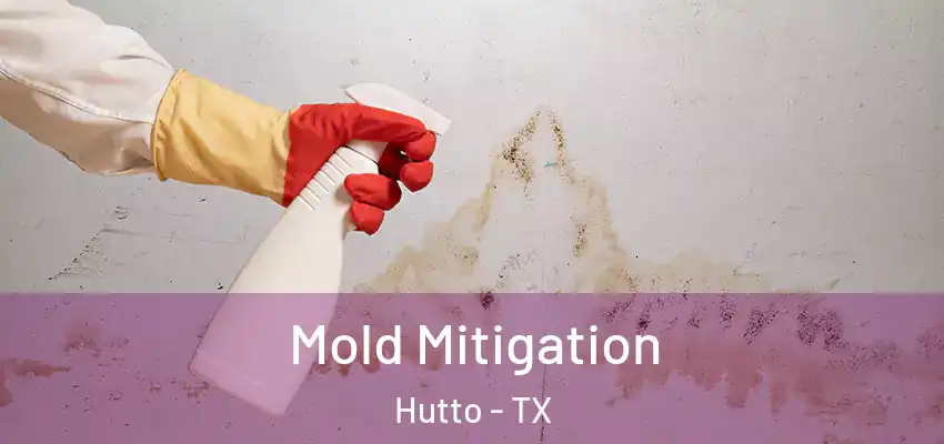 Mold Mitigation Hutto - TX