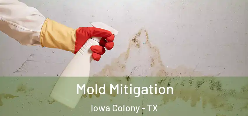  Mold Mitigation Iowa Colony - TX