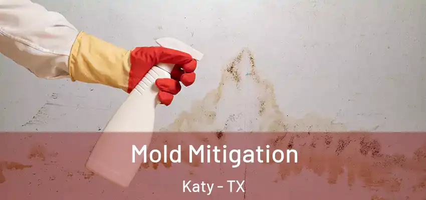  Mold Mitigation Katy - TX