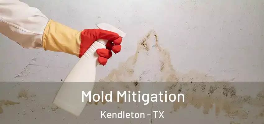  Mold Mitigation Kendleton - TX