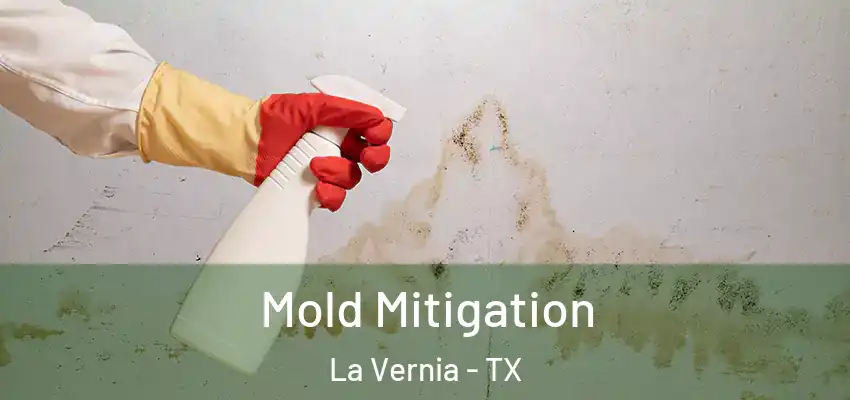  Mold Mitigation La Vernia - TX
