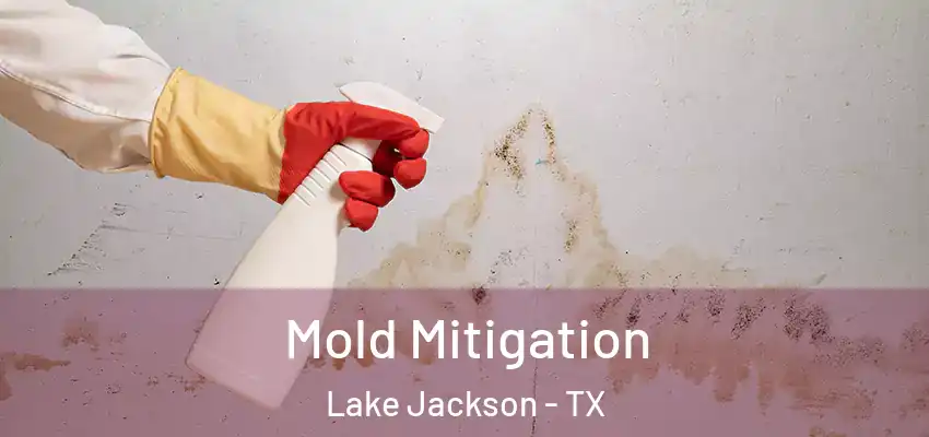 Mold Mitigation Lake Jackson - TX