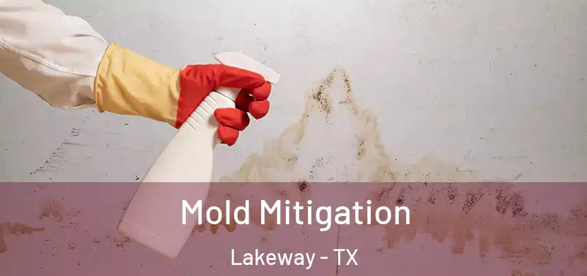  Mold Mitigation Lakeway - TX
