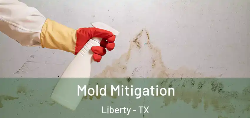  Mold Mitigation Liberty - TX