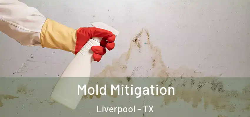 Mold Mitigation Liverpool - TX