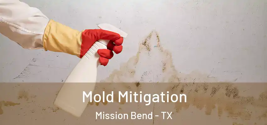  Mold Mitigation Mission Bend - TX