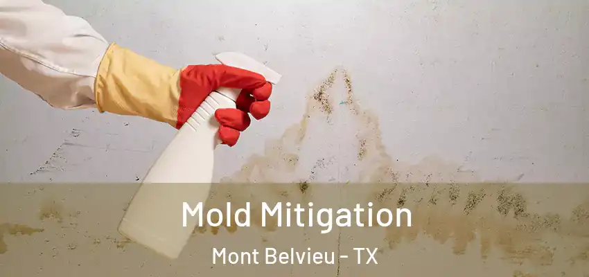  Mold Mitigation Mont Belvieu - TX