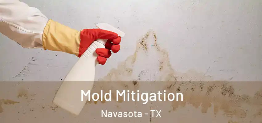  Mold Mitigation Navasota - TX