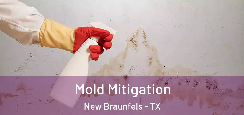  Mold Mitigation New Braunfels - TX