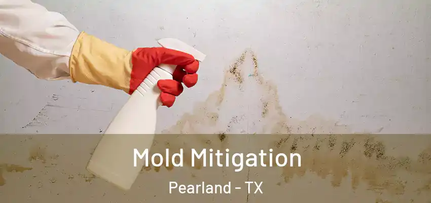  Mold Mitigation Pearland - TX