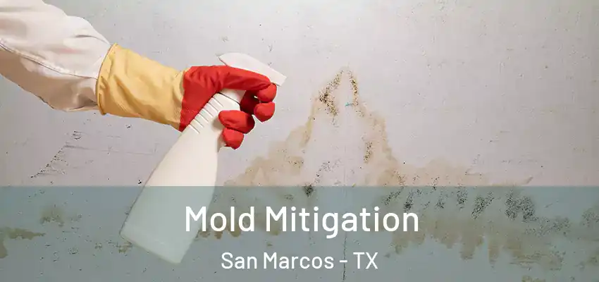  Mold Mitigation San Marcos - TX