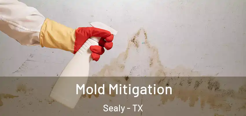  Mold Mitigation Sealy - TX