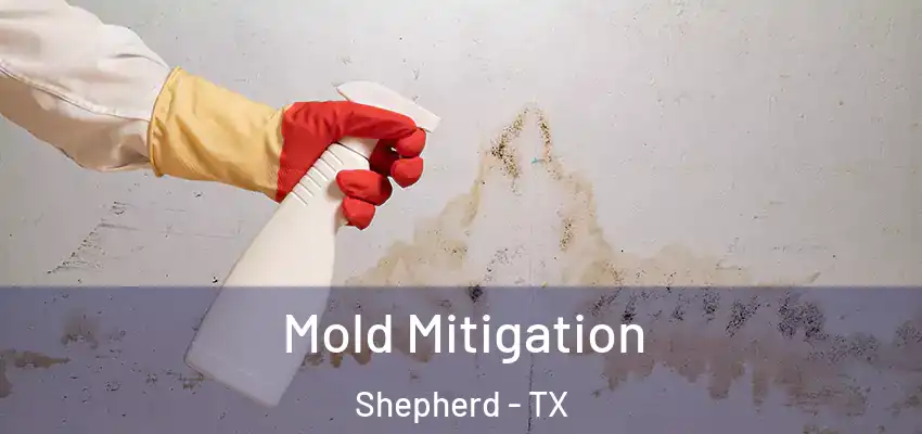  Mold Mitigation Shepherd - TX