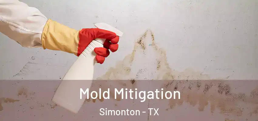  Mold Mitigation Simonton - TX