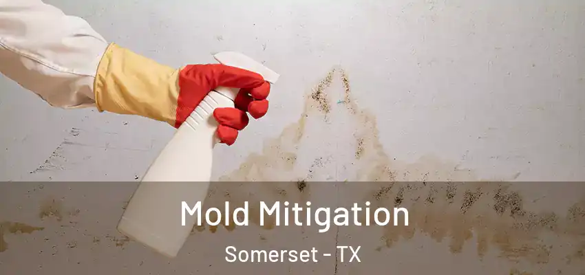 Mold Mitigation Somerset - TX