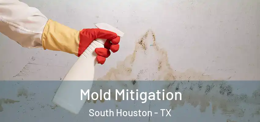  Mold Mitigation South Houston - TX