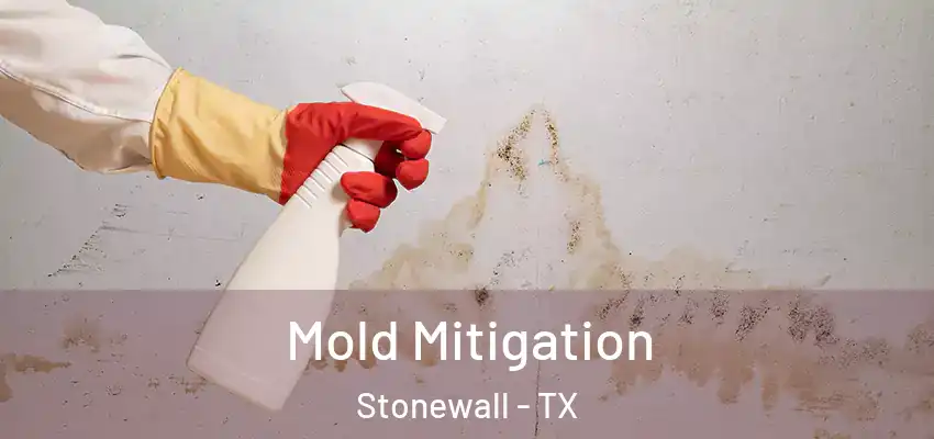  Mold Mitigation Stonewall - TX
