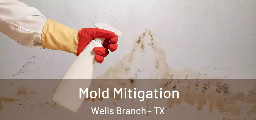 Mold Mitigation Wells Branch - TX