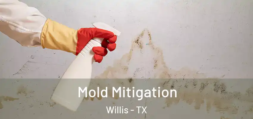  Mold Mitigation Willis - TX