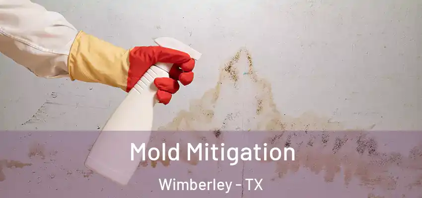 Mold Mitigation Wimberley - TX