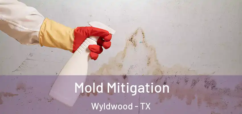  Mold Mitigation Wyldwood - TX