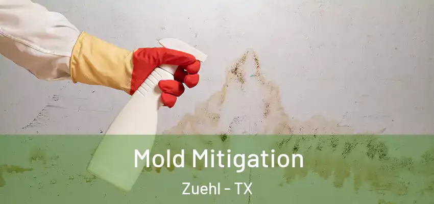  Mold Mitigation Zuehl - TX